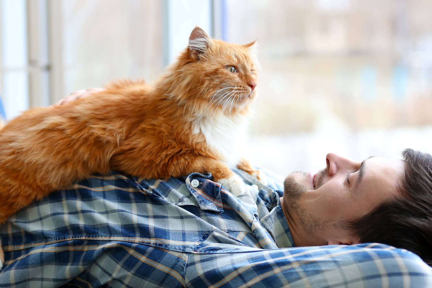 hombre joven tumbado con gato naranja encima