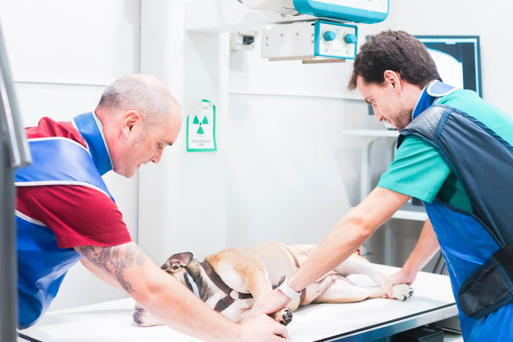 Radiografa mascotas en Veteros Clínica Veterinaria de Barcelona