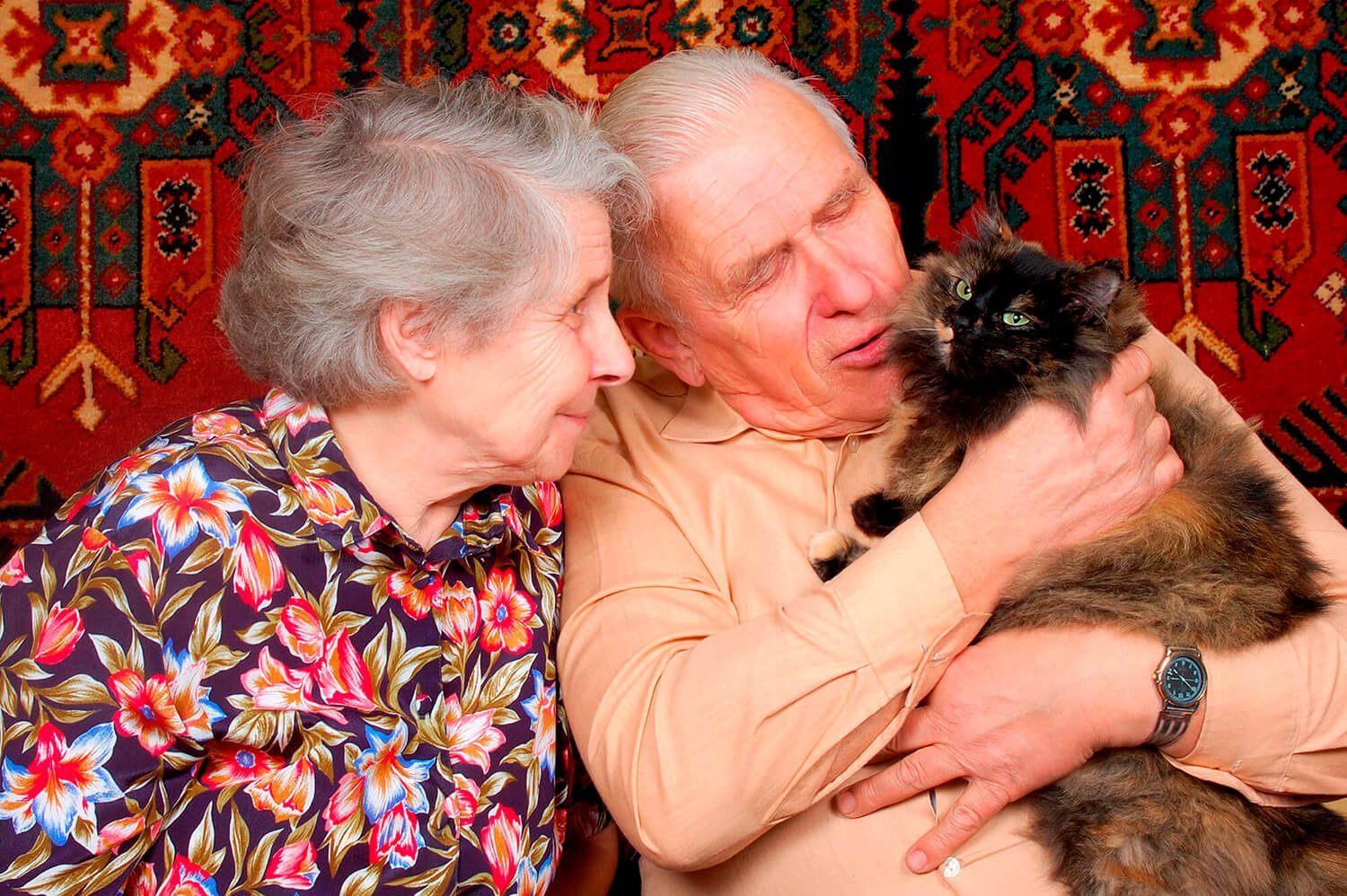 pareja ancianos con gato mayor