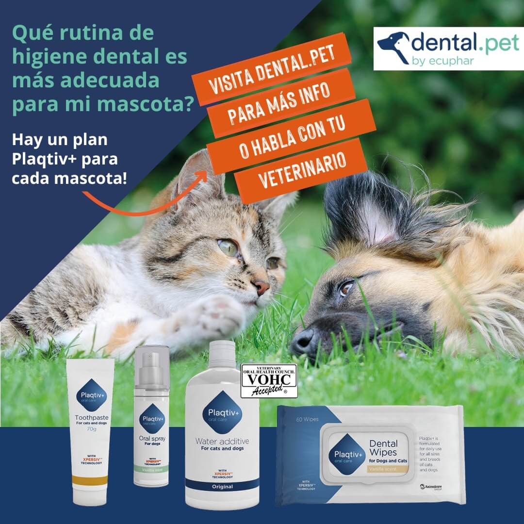 Productos de limpieza dental para perros y gatos